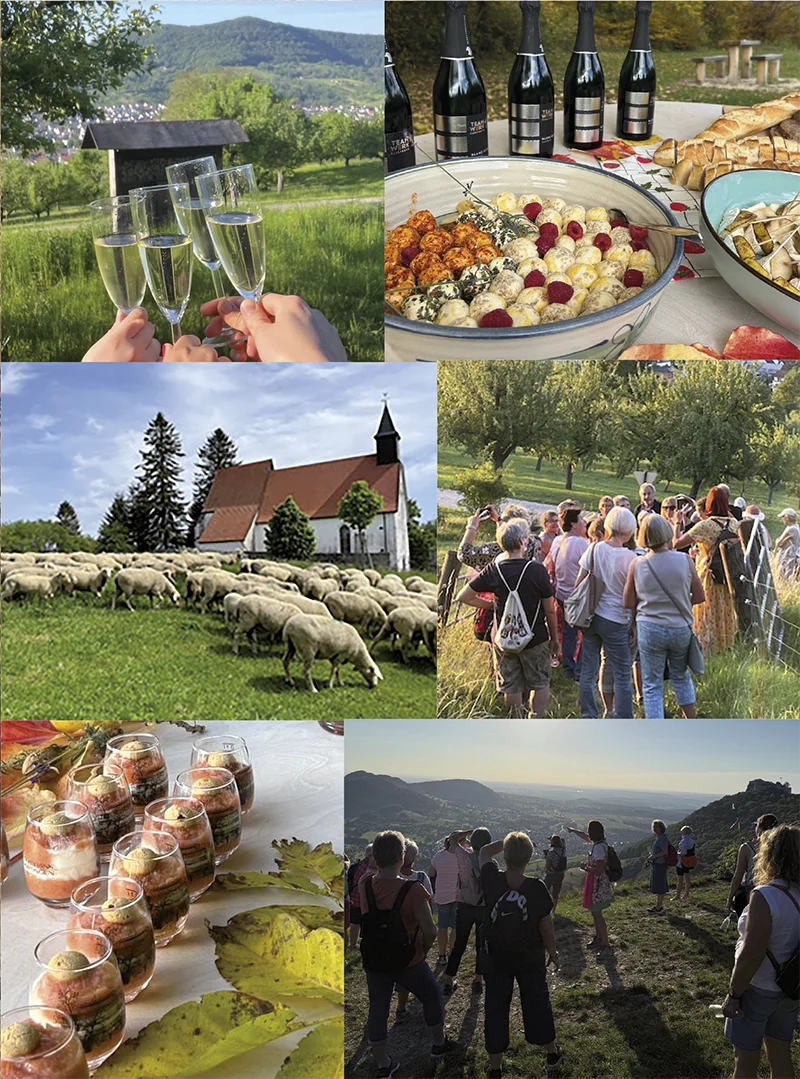 Geführtes Wandern mit Gleichgesinnten und leckerer Verpflegung